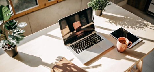 Plants in your workshop or business: the green boost you need