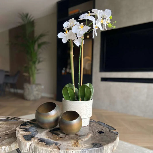 Artificial plants and sustainability | How eco-friendly are they?