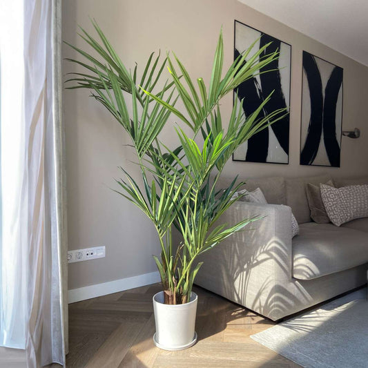 Why Choose Artificial Plants?