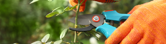 Everything you need to know about pruning