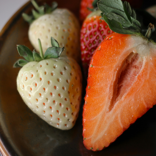 Strawberry - 6 pcs. - Fragaria 'White Pine' - Root balls - Green