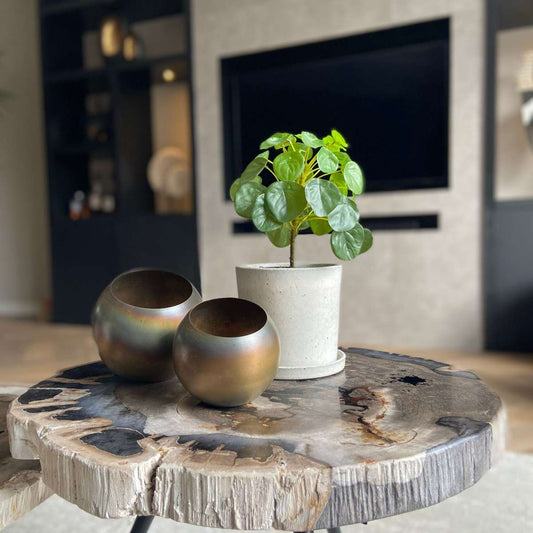 Artificial Pilea Peperomioides - Height 25cm