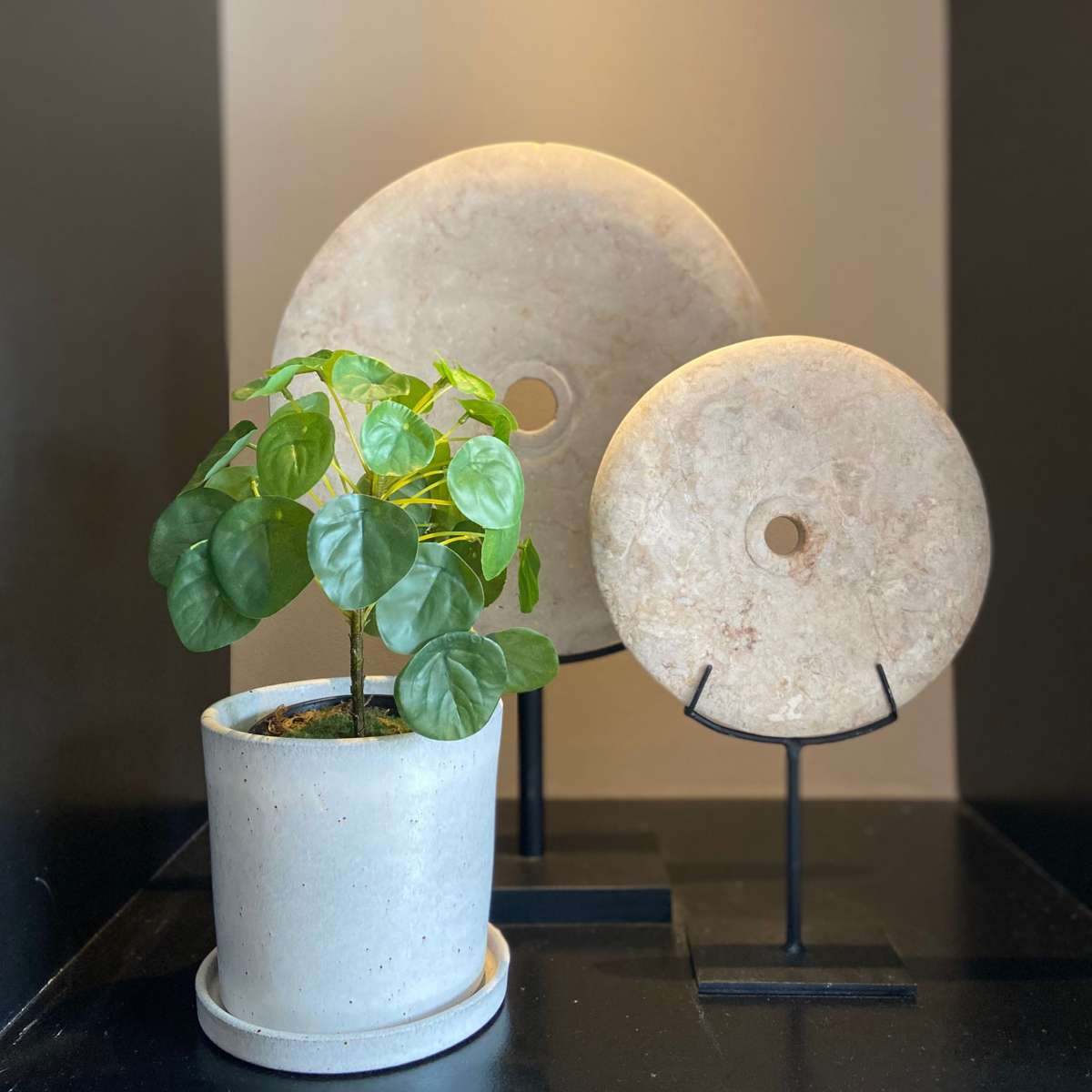 Artificial Pilea Peperomioides - Height 25cm