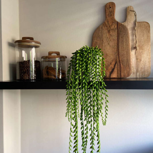 Artificial Senecio - Height 90cm