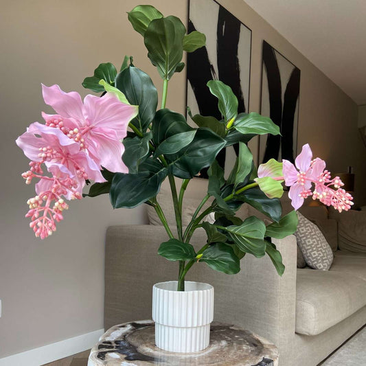 Artificial Medinilla Magnifica - Height 85cm