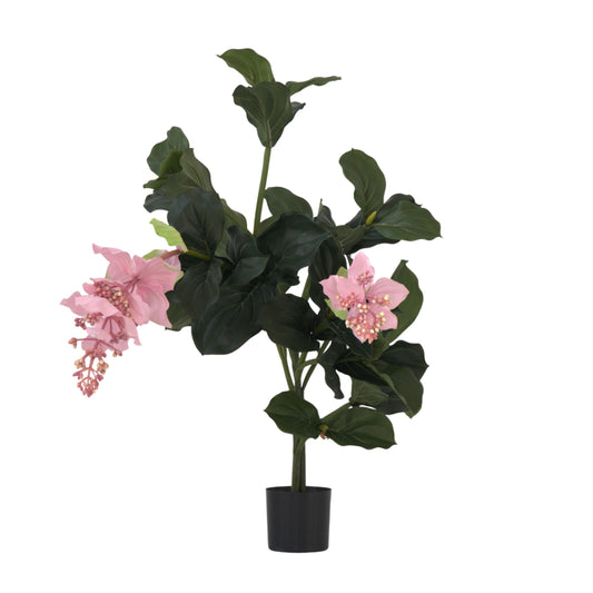 Artificial Medinilla Magnifica - Height 85cm