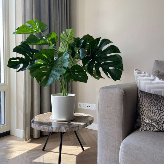 Artificial Monstera - Height 85cm