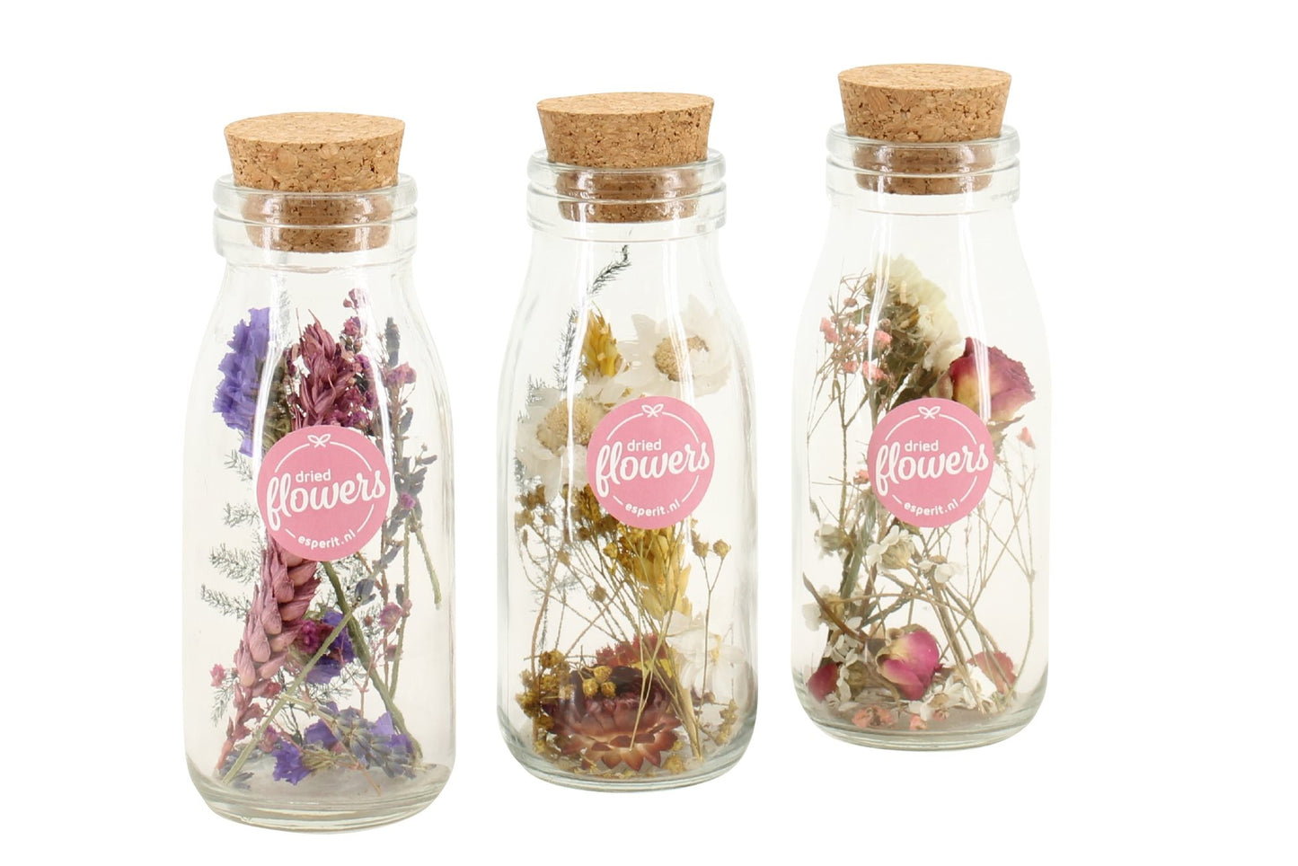 Dried flowers - 3 pcs. - Dryflower 'Small Bottles' - Dryflowers