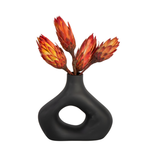 Dried flowers - 5 pcs. - Bouquet 'Protea Pendula Red' - Dryflowers