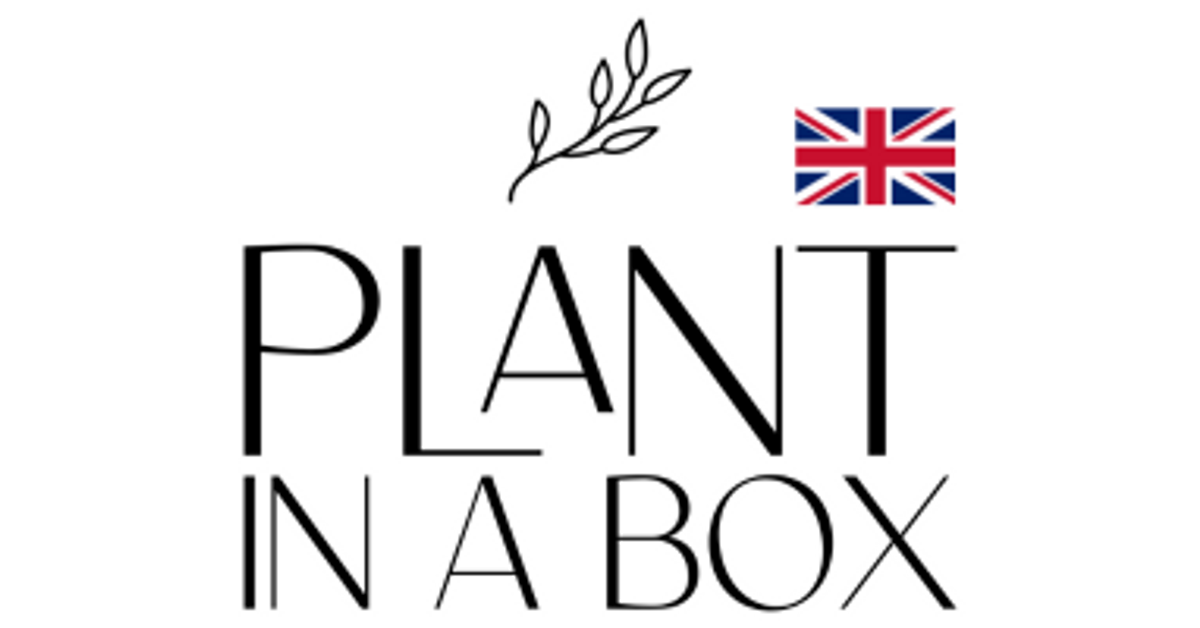 nursery plant pot sizes Standard Round Pots