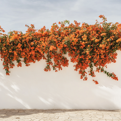 Paper Flower - Bougainvillea 'Dania' - Height 50-60cm - ⌀17cm