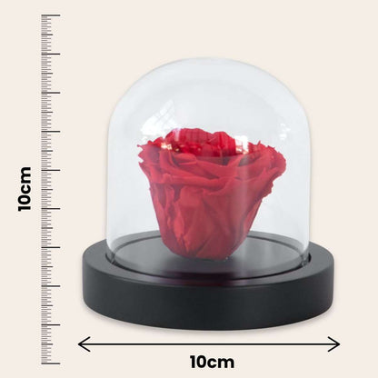 Preserved Red Rose under Glass Dome - Real Rose - Luxury Gift