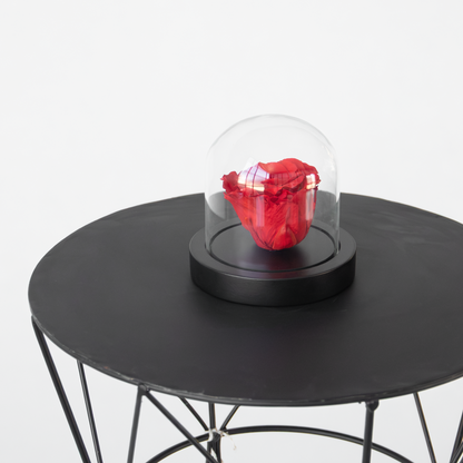 Preserved Red Rose under Glass Dome - Real Rose - Luxury Gift