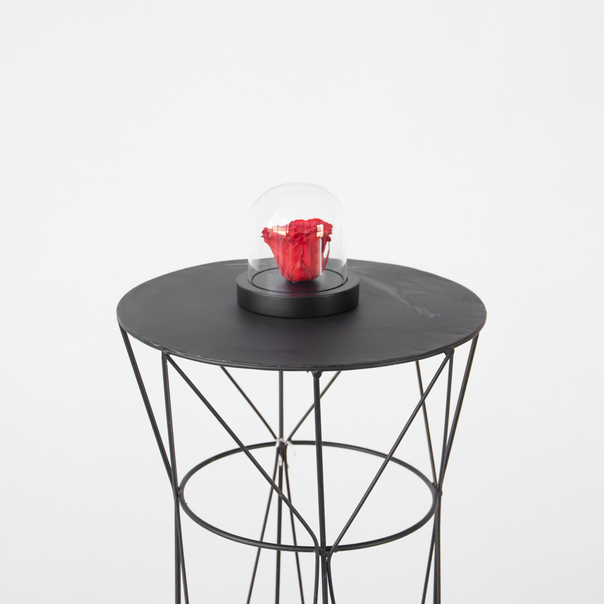 Preserved Red Rose under Glass Dome - Real Rose - Luxury Gift