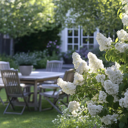 Lilac - 4 pcs. - Syringa vulgaris 'Mme Lemoine' - Height 25-40cm - ⌀17cm