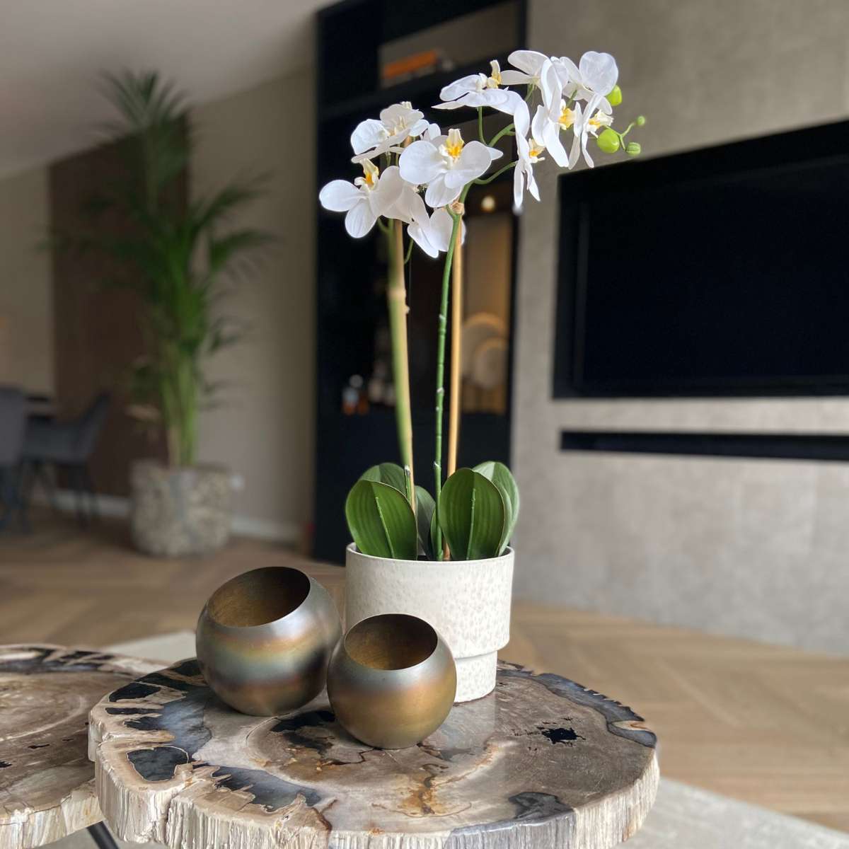 Artificial Phalaenopsis Orchid - Height 55cm