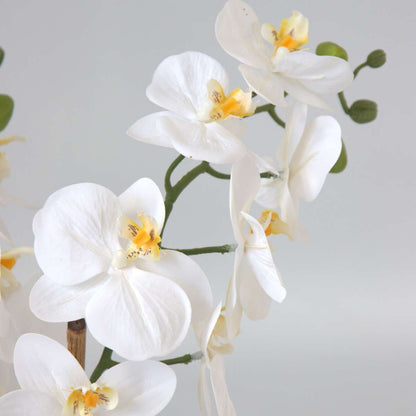 Artificial Phalaenopsis Orchid - Height 55cm