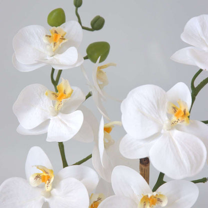 Artificial Phalaenopsis Orchid - Height 55cm