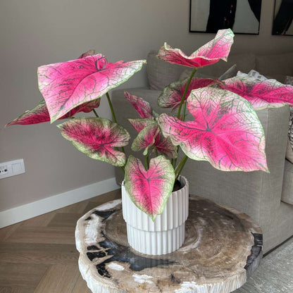 Artificial Caladium - Height 60cm