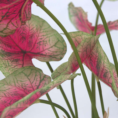 Artificial Caladium - Height 60cm