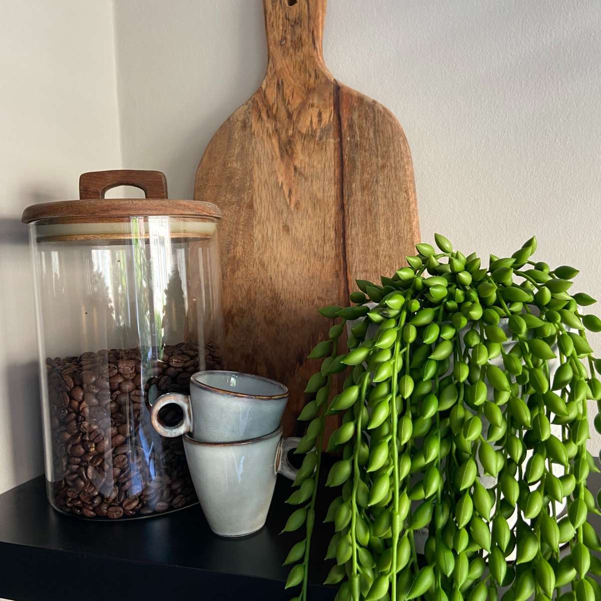 Artificial Senecio - Height 90cm