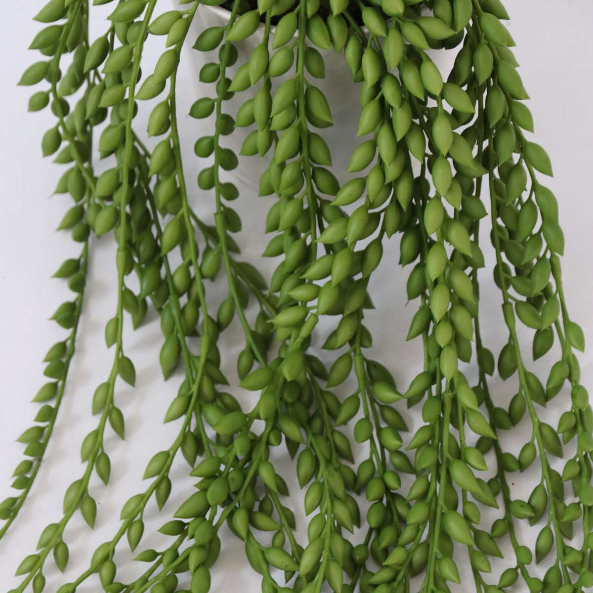 Artificial Senecio - Height 90cm
