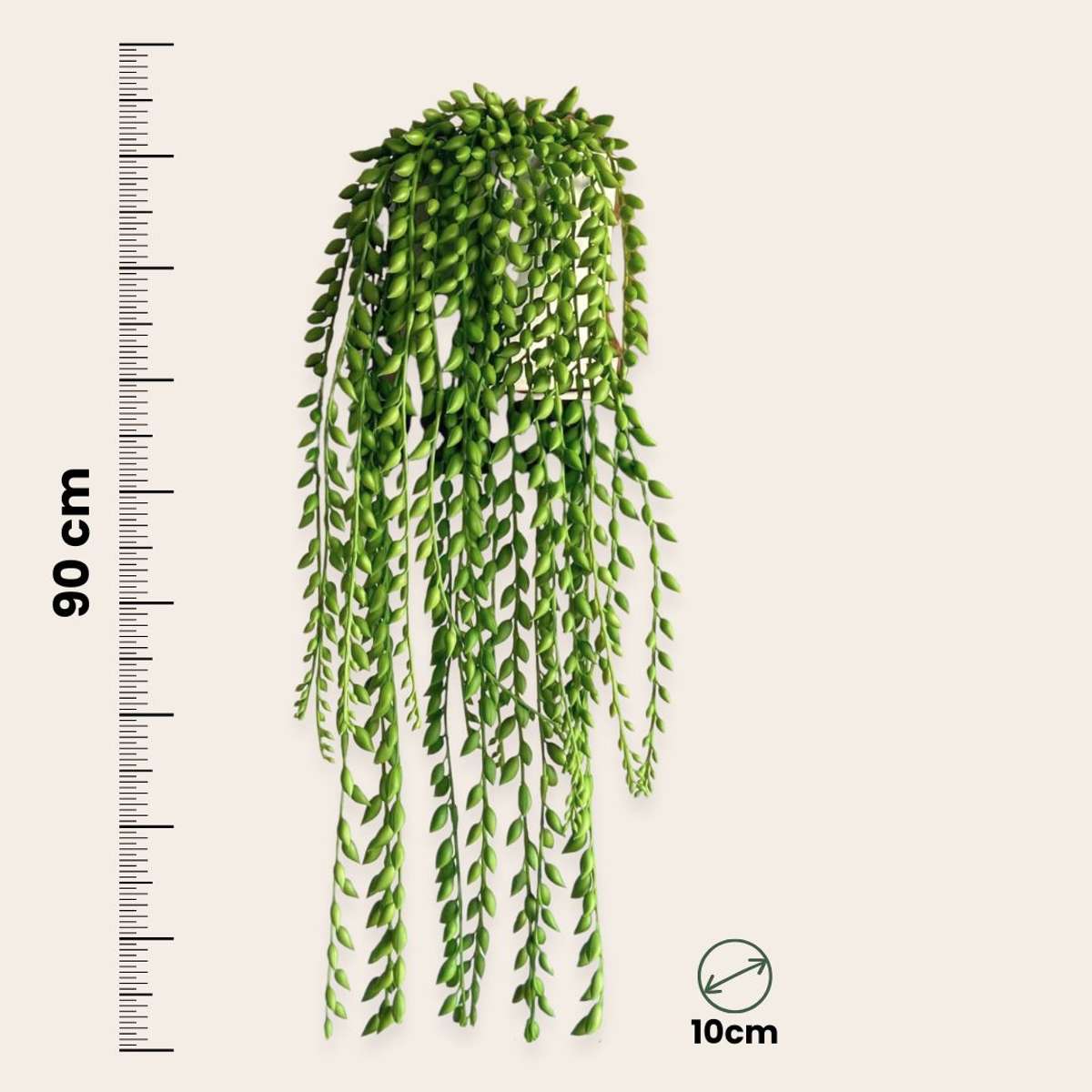 Artificial Senecio - Height 90cm