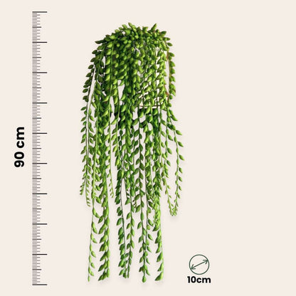 Artificial Senecio - Height 90cm