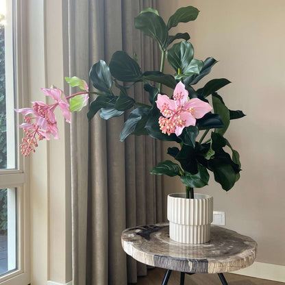 Artificial Medinilla Magnifica - Height 85cm