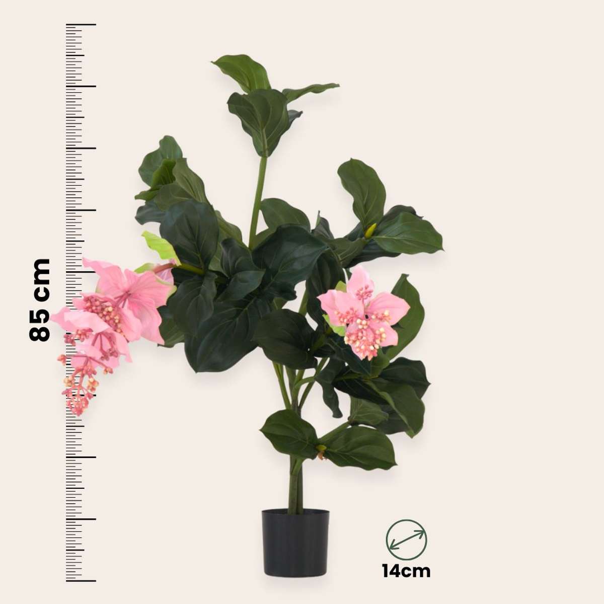 Artificial Medinilla Magnifica - Height 85cm