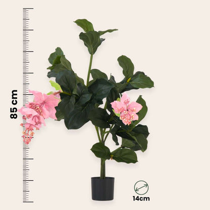 Artificial Medinilla Magnifica - Height 85cm