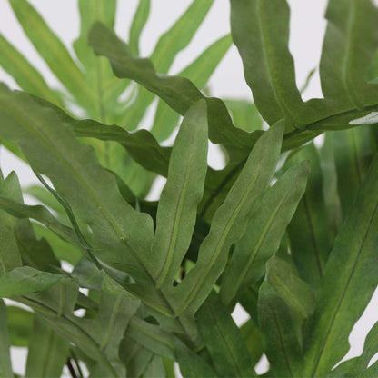 Artificial Phlebodium - Height 80cm