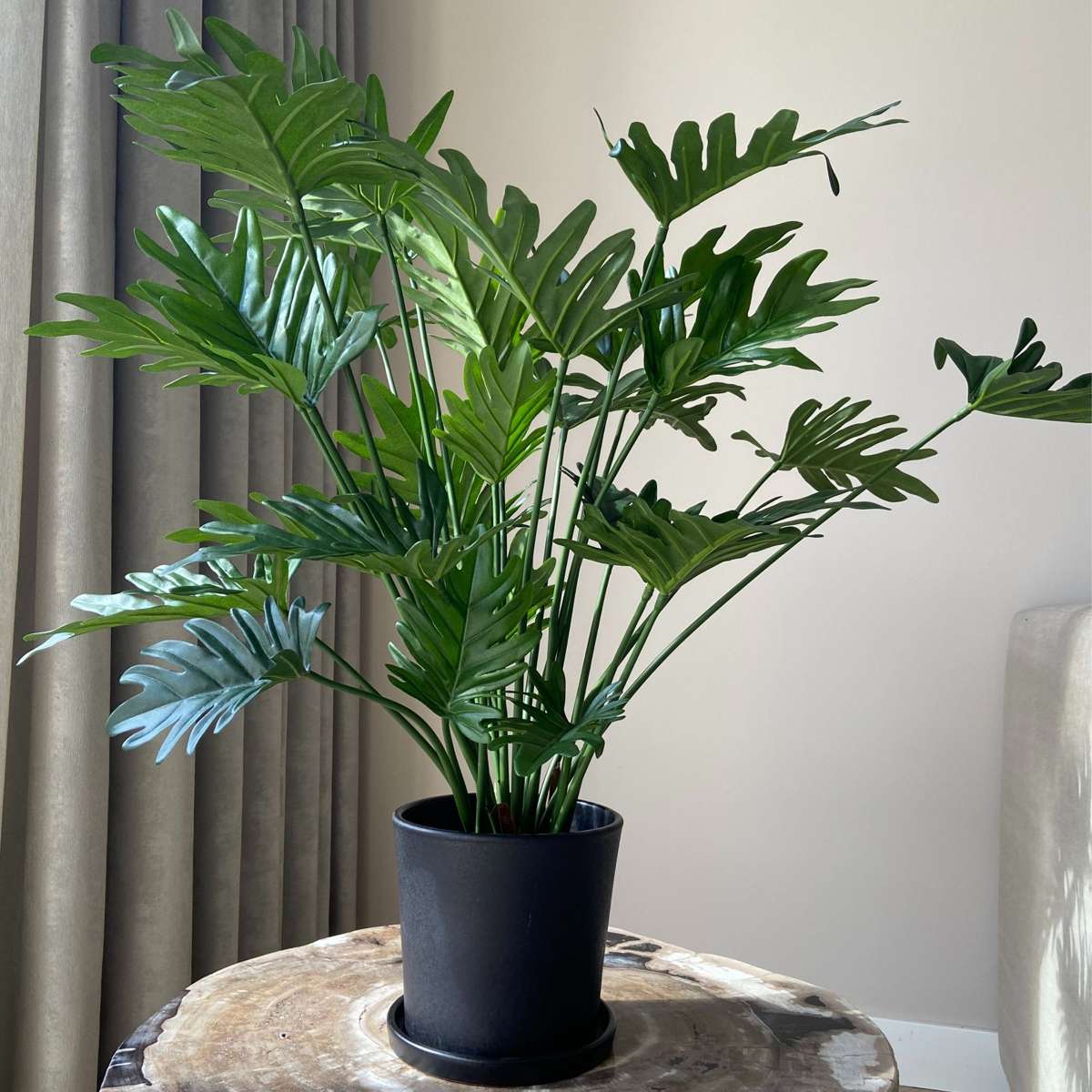 Artificial Philodendron 'Selloum' - Height 65cm