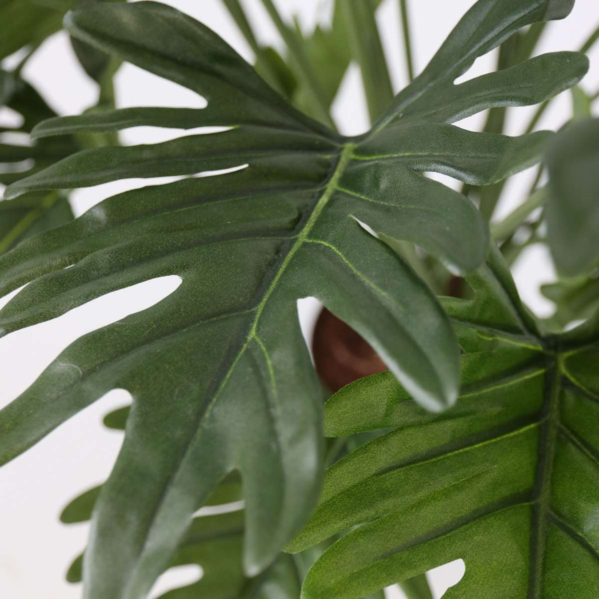 Artificial Philodendron 'Selloum' - Height 65cm