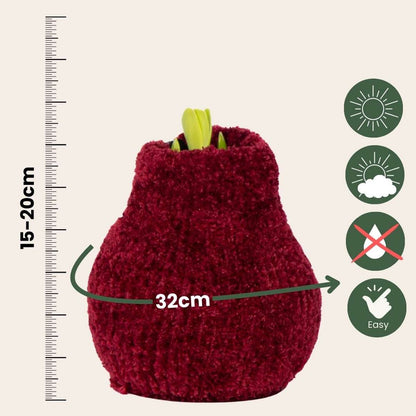 Amaryllis - Hippeastrum 'Cozy Teddy Red' - Flower Bulb - Red