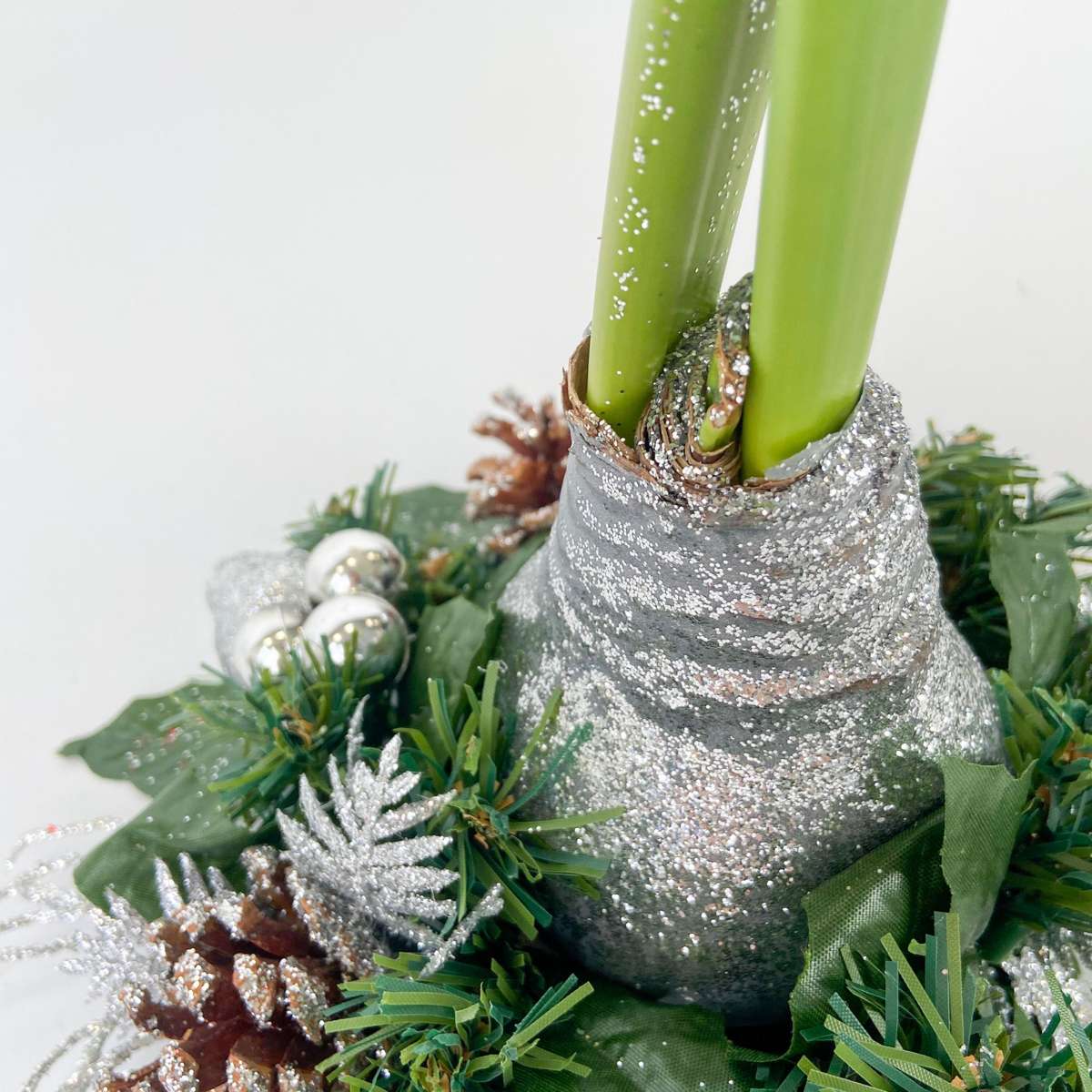 Amaryllis - Hippeastrum 'Christmas Wreath' - Silver