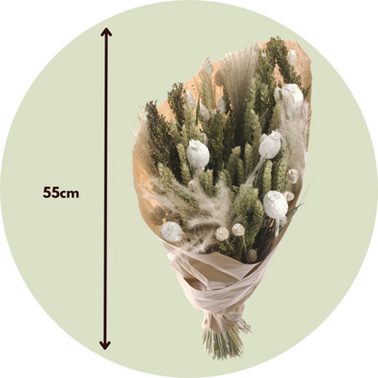 Dried flowers - Bouquet 'Large Bodhi' - Dryflowers