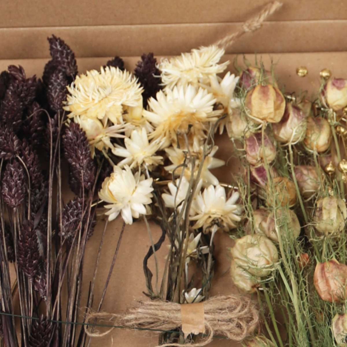 Dried flowers - Dryflower 'X-mas brown/gold' - Dryflowers
