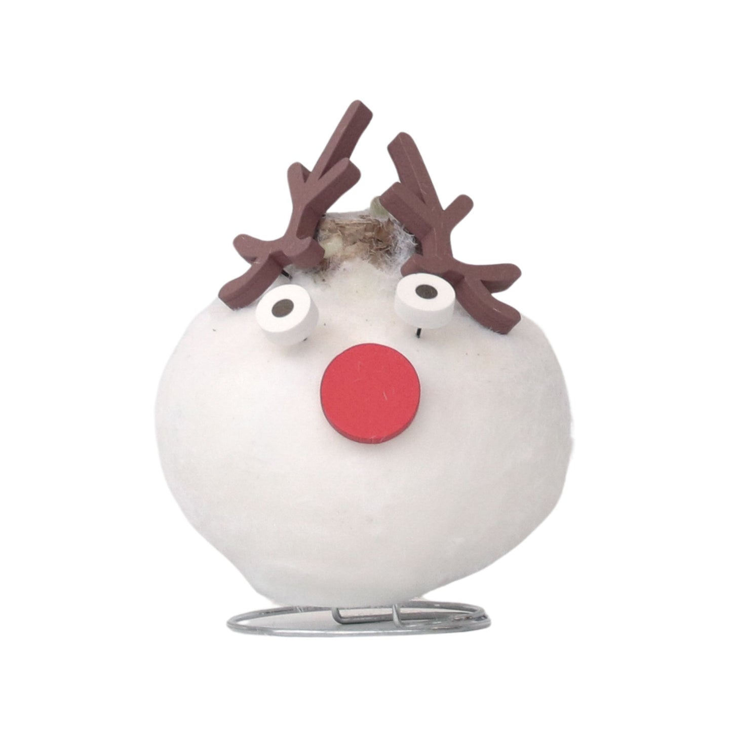 Amaryllis - Hippeastrum 'Wax Special Santa Reindeer'