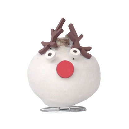 Amaryllis - Hippeastrum 'Wax Special Santa Reindeer'