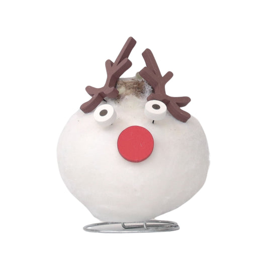 Amaryllis - Hippeastrum 'Wax Special Santa Reindeer'