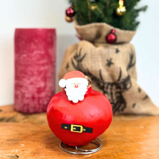 Amaryllis - Hippeastrum 'Wax Special Santa Claus'