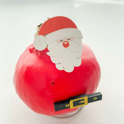 Amaryllis - Hippeastrum 'Wax Special Santa Claus'