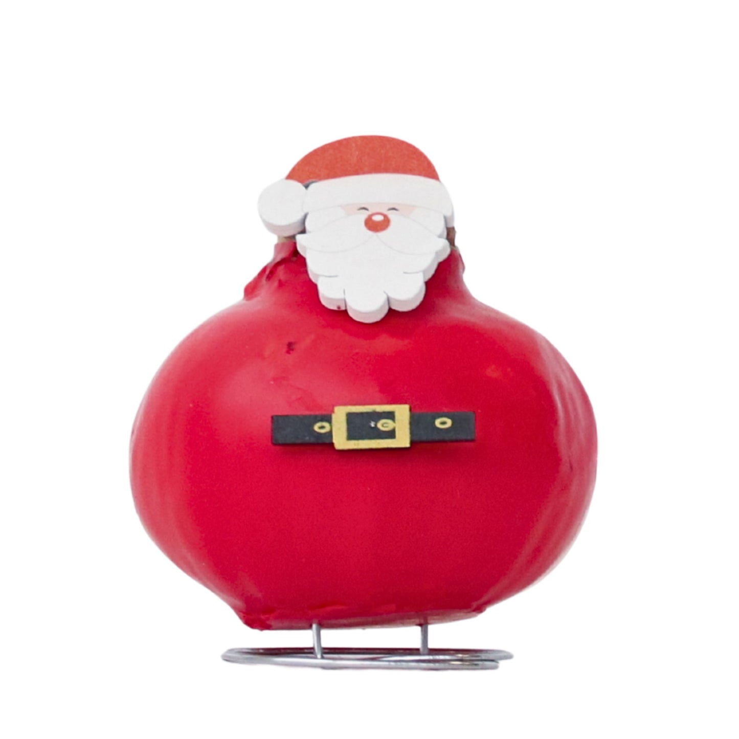 Amaryllis - Hippeastrum 'Wax Special Santa Claus'