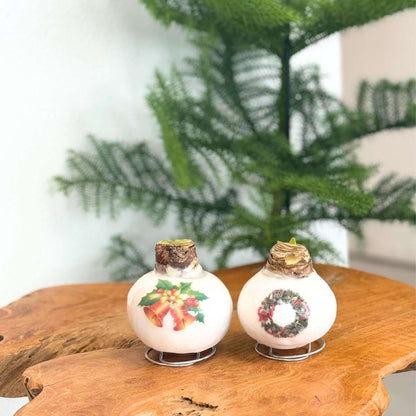 Amaryllis - Hippeastrum 'Porcelain Wax Wreath'