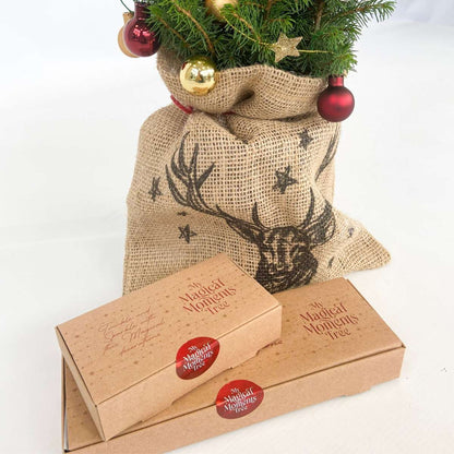 Mini-Christmas-tree with jute-bag - Picea glauca Conica - 55-65cm - ⌀15cm