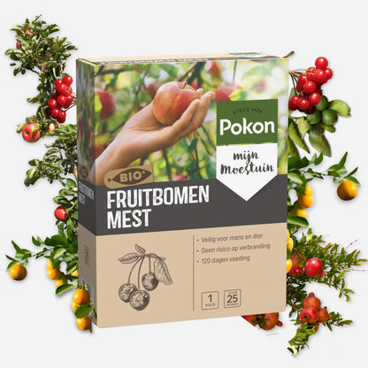 Pokon Bio fruit tree fertilizer - 1kg