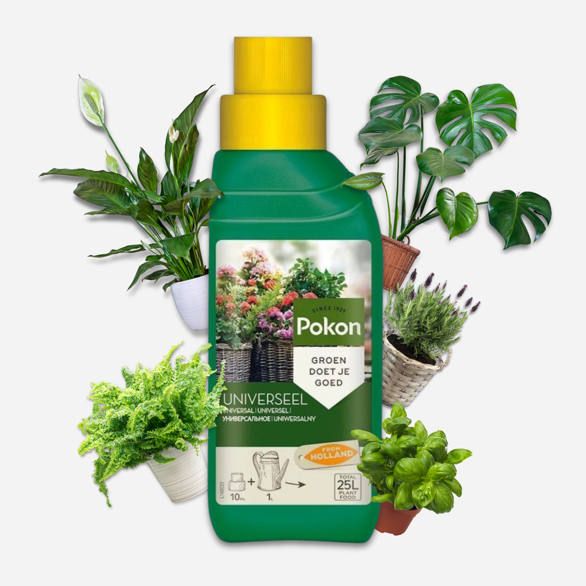 Pokon Universal liquid plant food - 2.5 liters