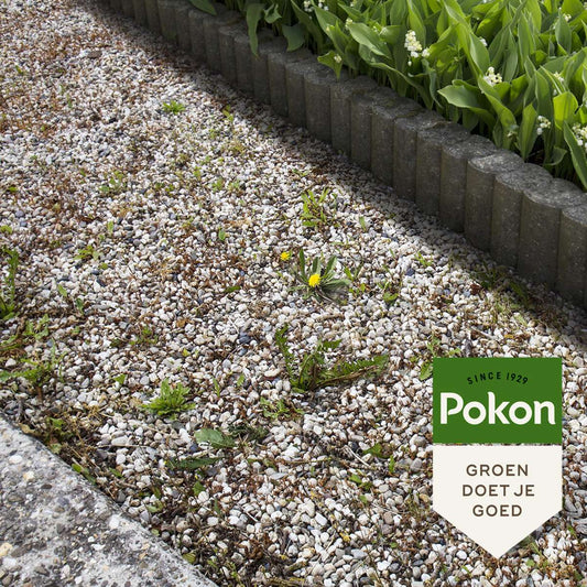 Pokon liquid anti-weed concentrate - 225ml