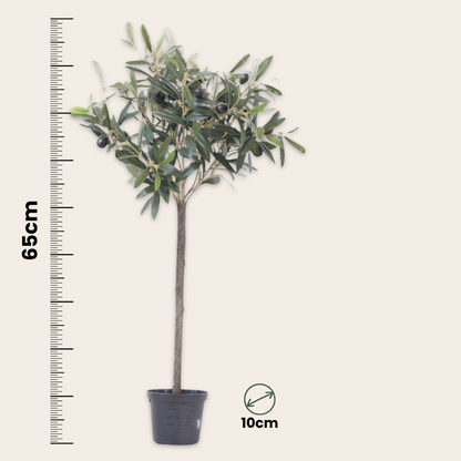 Artificial Olive Tree - Height 65cm
